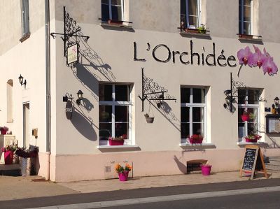 Orchidée.jpg